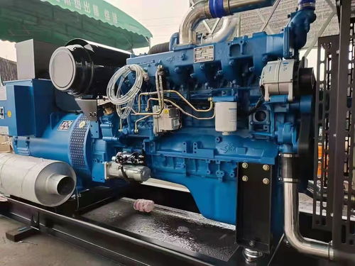 衡水長期提供本地發電機出租 租賃選康成機電設備